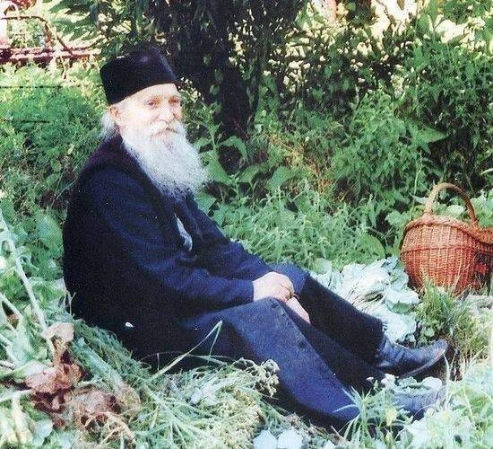 Наши желания разрушительны. Наши чувства ненасытны. Все чего-то ищут, как будто они здесь, на земле,