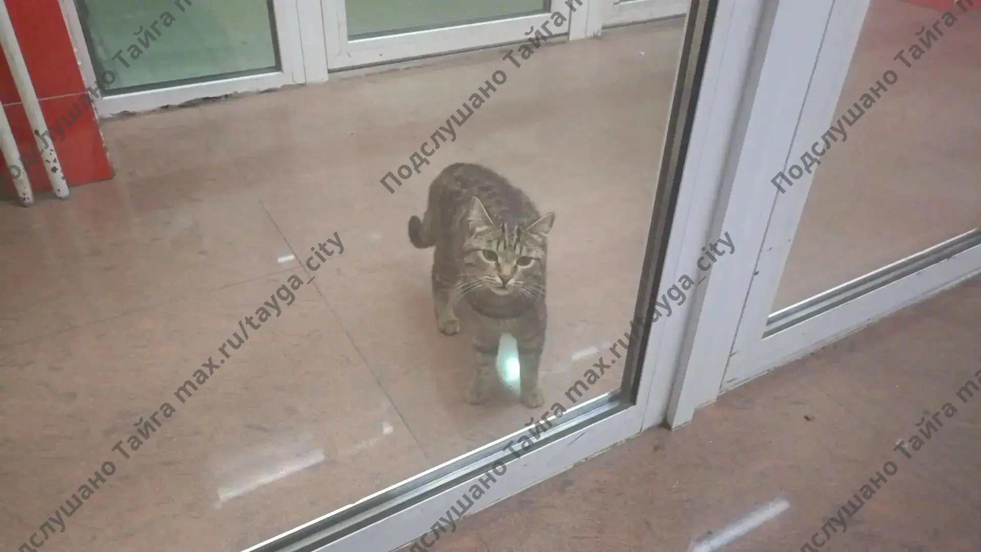 Анон.