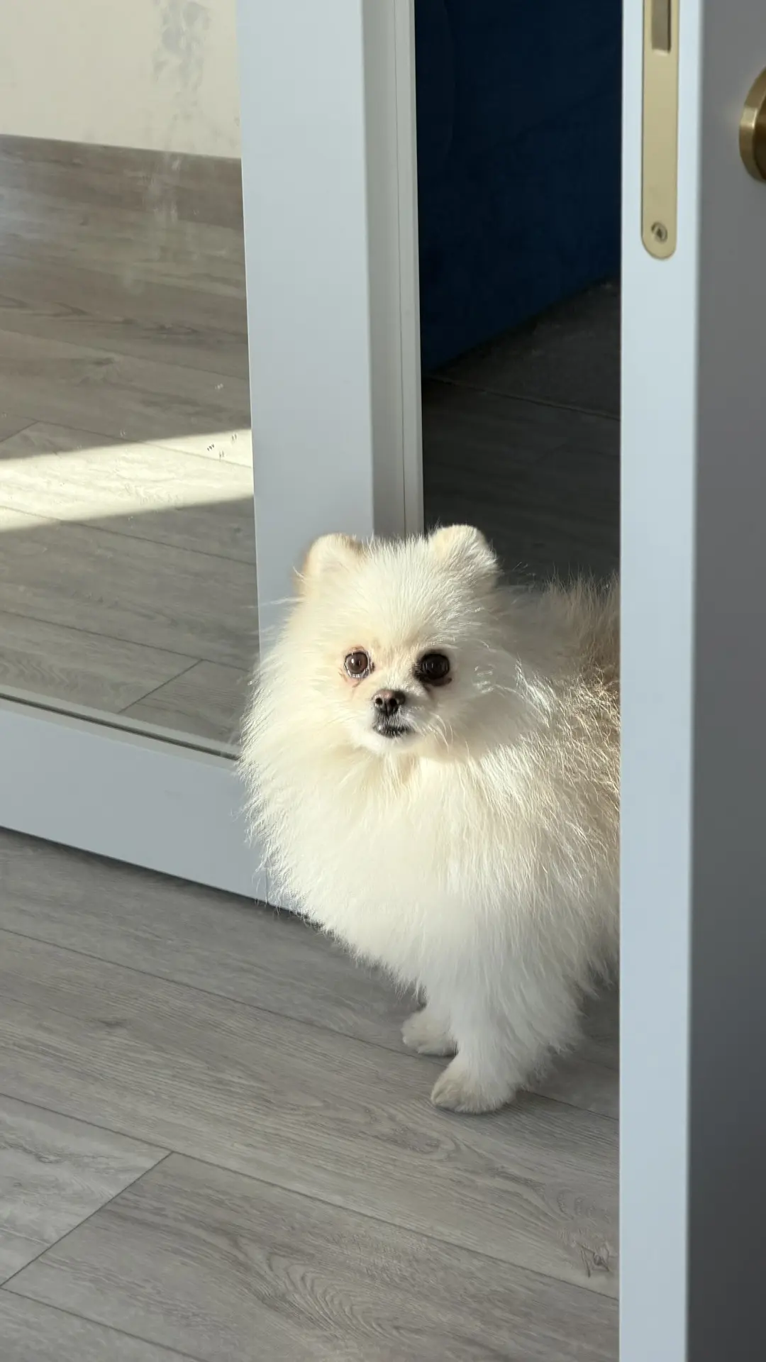 Ну такая милашечка какашечка 🌸💞