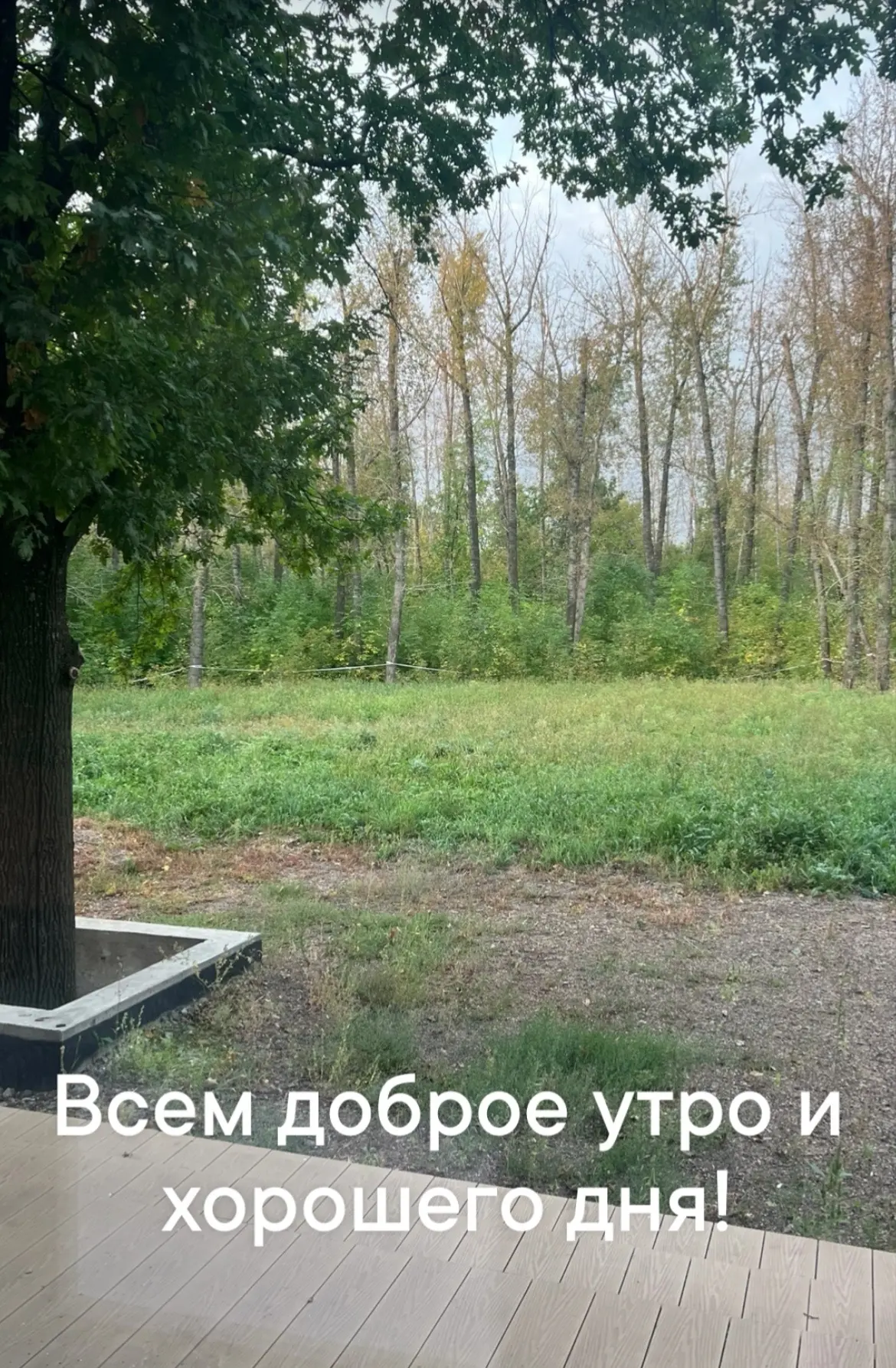 У меня в планах на сегодня много онлайн работы, тренировки и дела девочек.