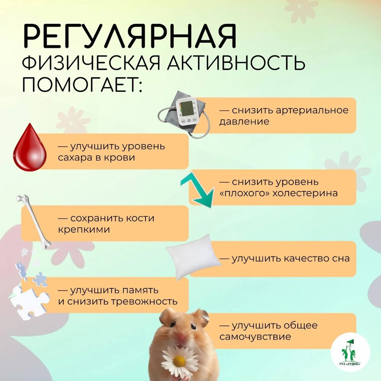 🏃‍♀️Физические нагрузки занимают важную роль в профилактике многих заболеваний сердечн...