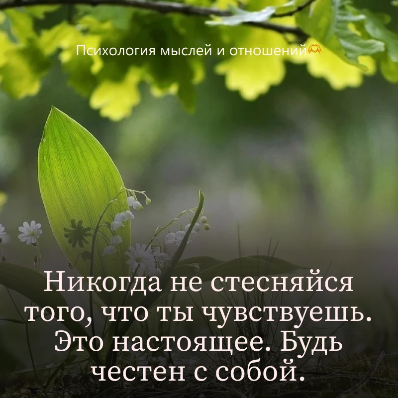 Будьте честны с собой

Вы замечали, как мы часто стесняемся своих эмоций? Грустно — улыбаемся, чтобы