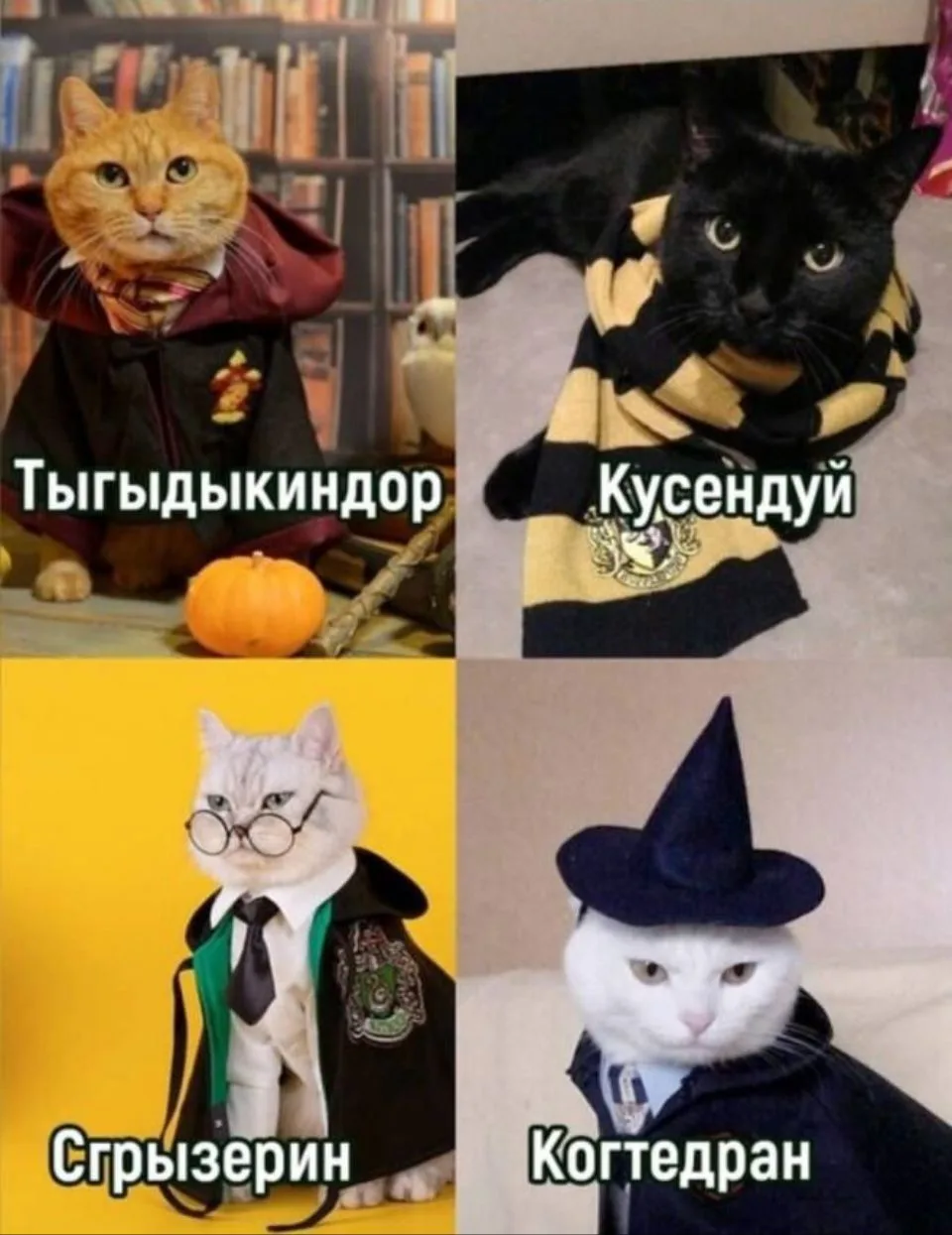 😁 Факультеты в Котвартсе