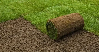 🌿 Рулонный газон: быстрый способ получить красивую лужайку

Изумрудный ковёр за один день — реально