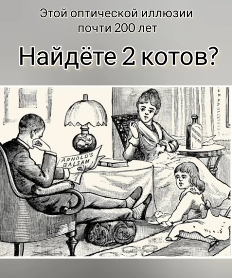 Нашли двух котов?
