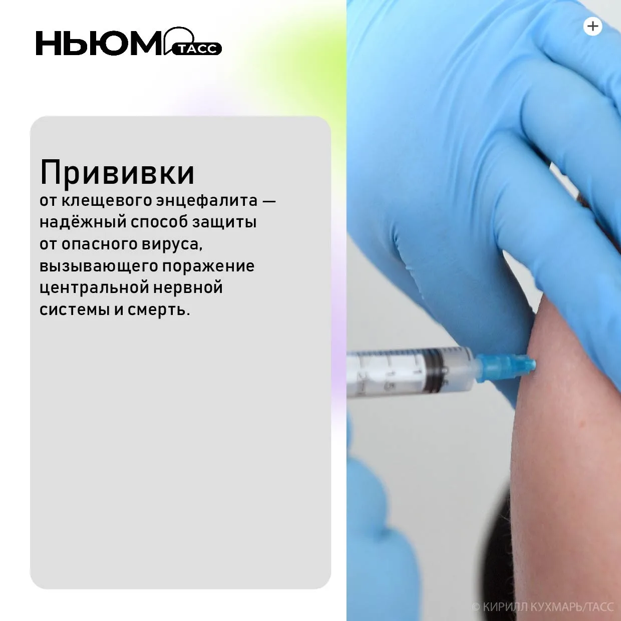Маленькие, но коварные!