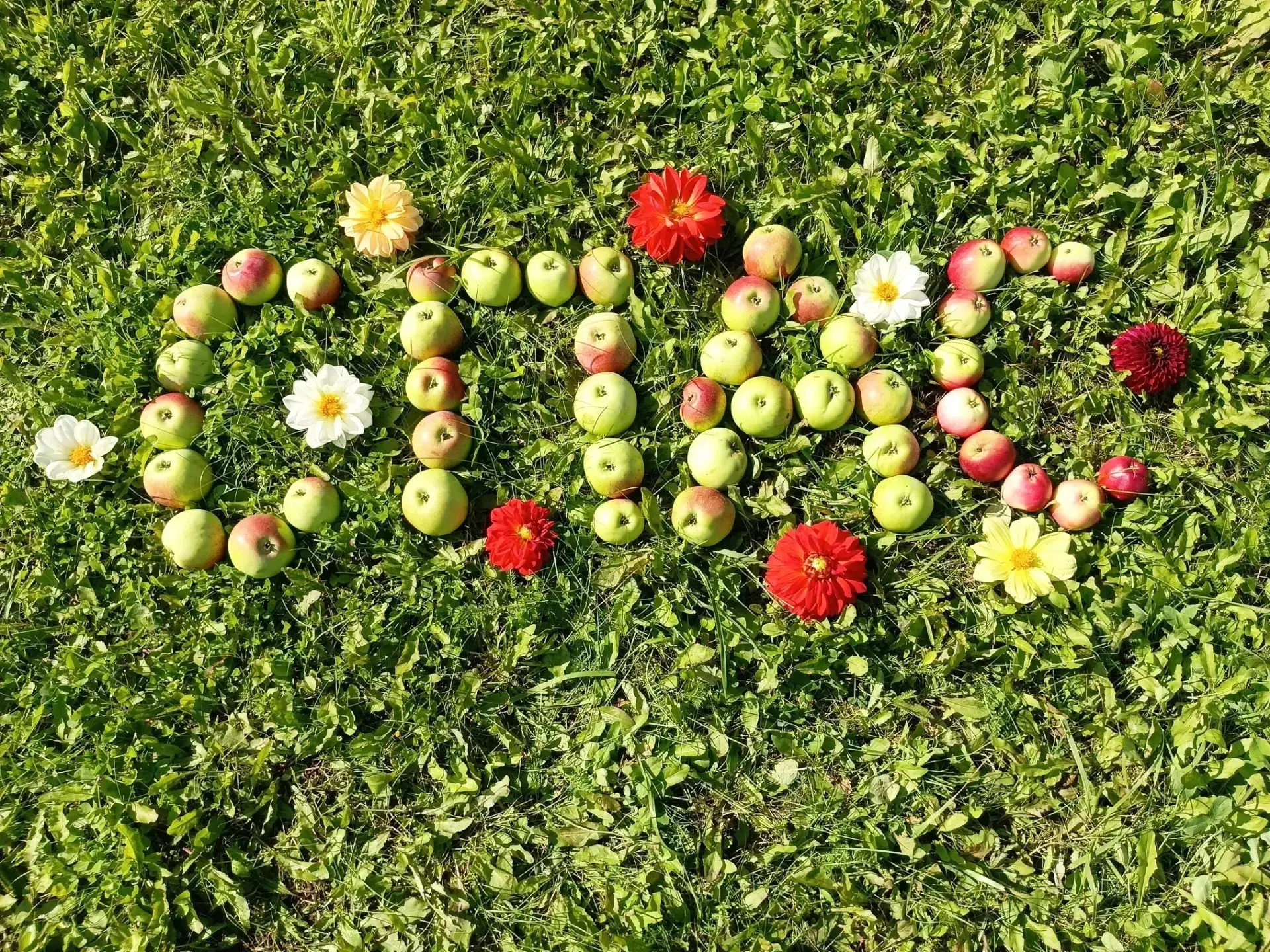 🍏 Яблочный Спас в Ашапском филиале: аромат добра и тепла🍏