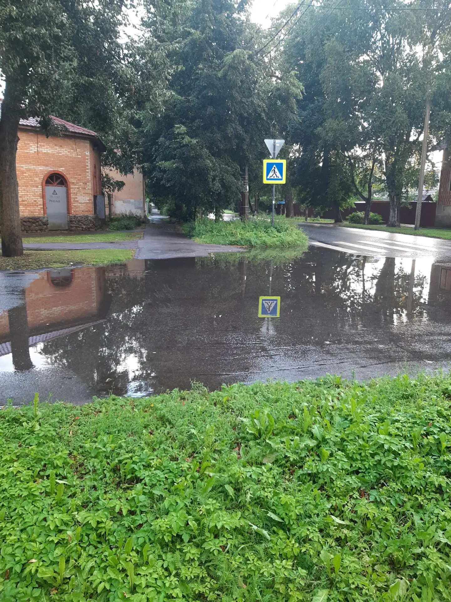 Историческая часть Торговой стороны Великого Новгорода после ливня ❤
