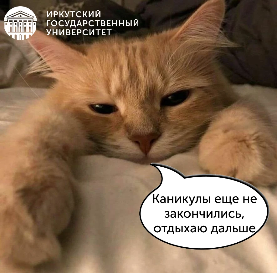 😮 Когда вспомнил или услышал, что лето заканчивается. Но еще ведь продолжается 😴
