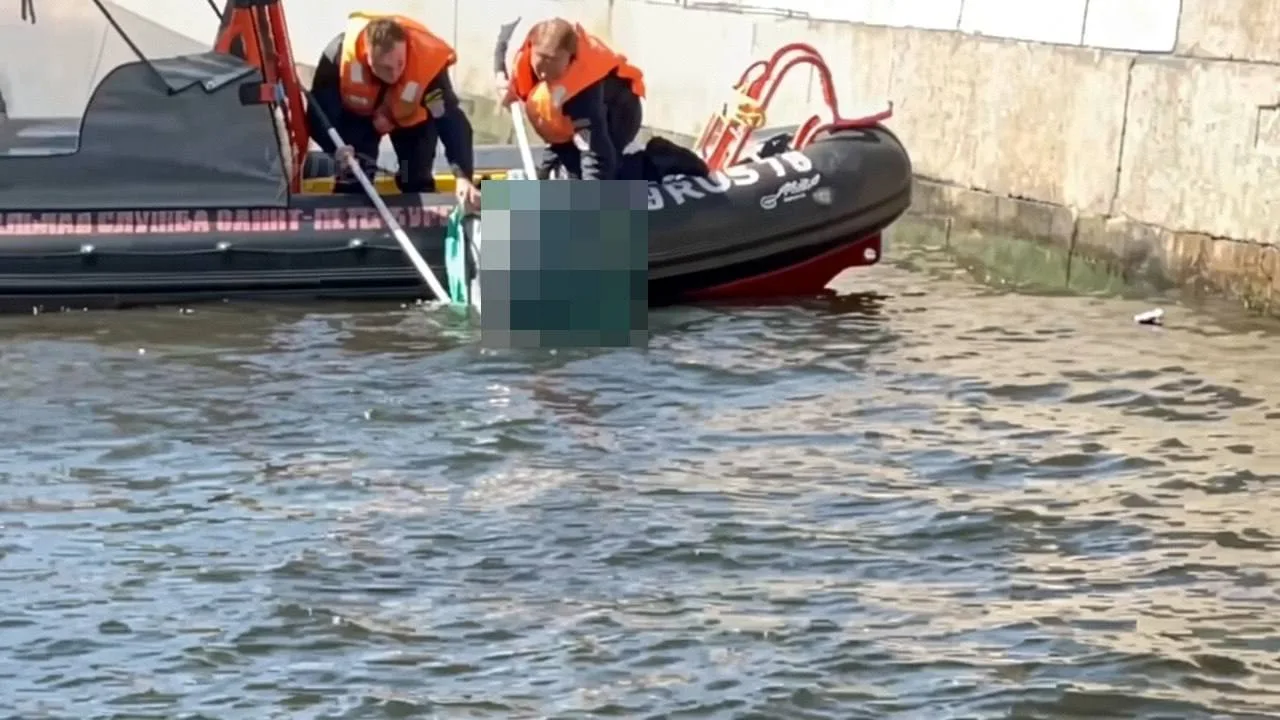 🤯 В Питере из реки Мойки достали отрубленную человеческую голову

По словам очевидца, спасатели раб