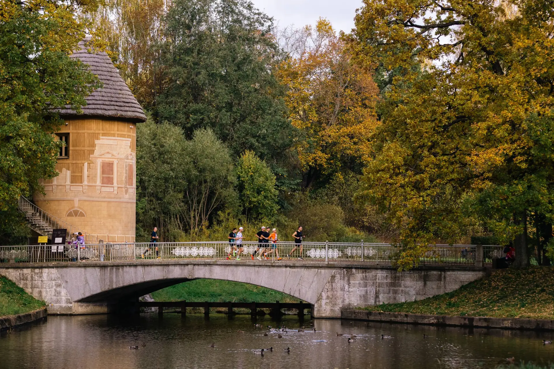 Художественный взгляд на Осенний Павловский забег 🍁