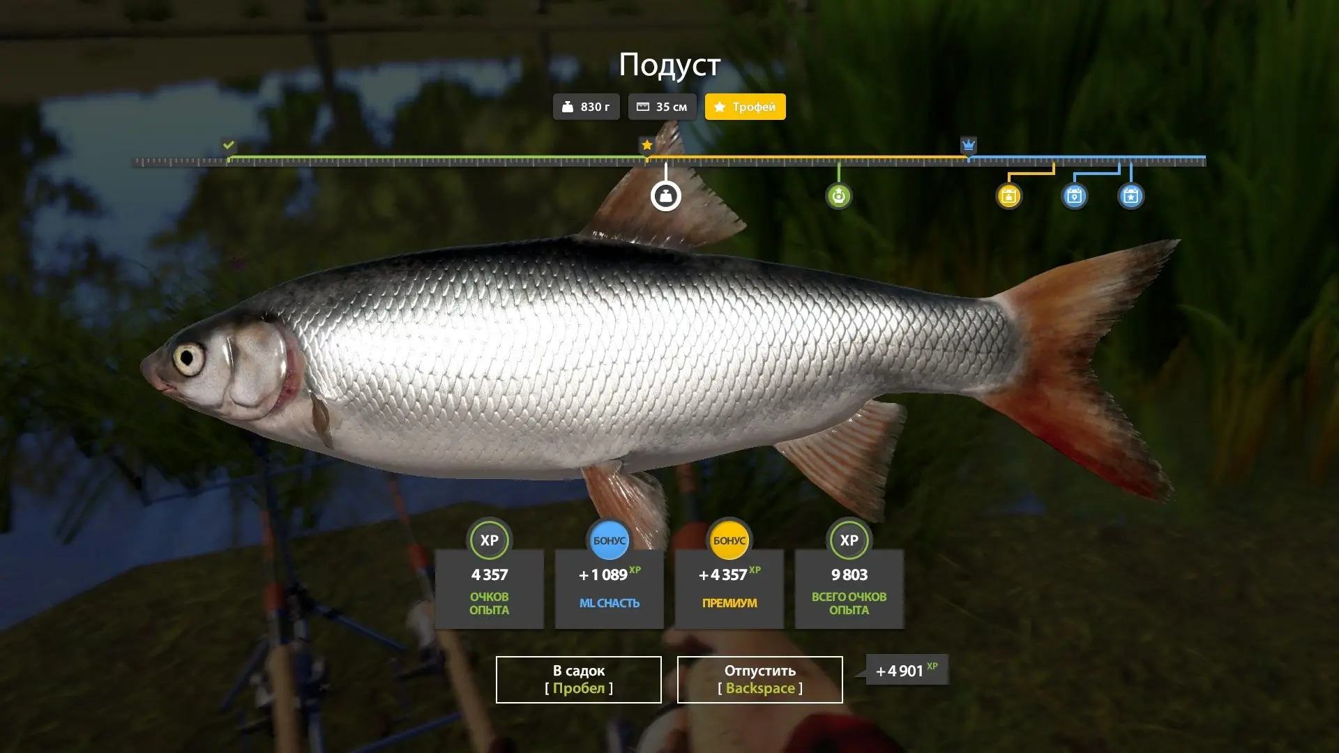 #донец