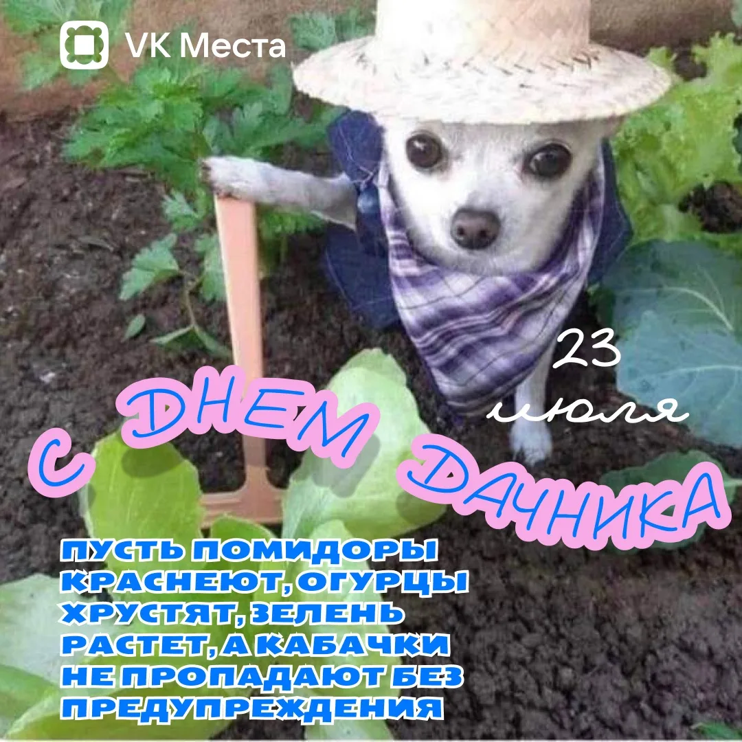 Сегодня День дачника 🥒 Отправь ему этот пост — пожелай хорошего урожая и грядок без сорняков!