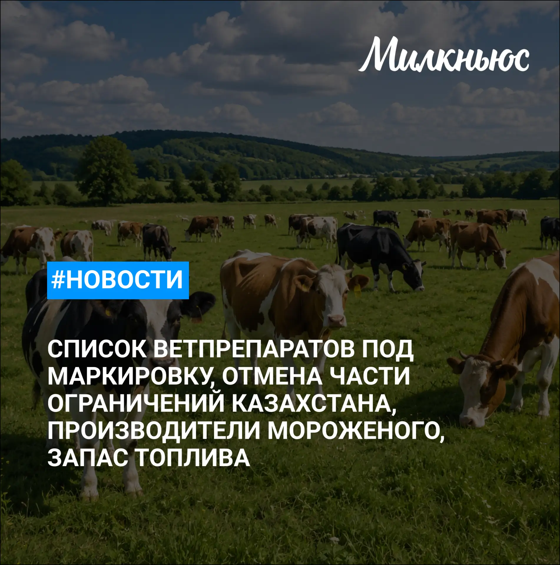🐮 Финансовые показатели нижегородского молочного животноводства ухудшились

🐮 Глава Минсельхоза Та