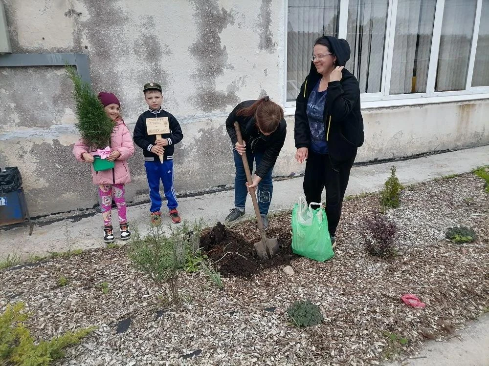 🌿Традиция посадки туи в нашем детском саду🌿