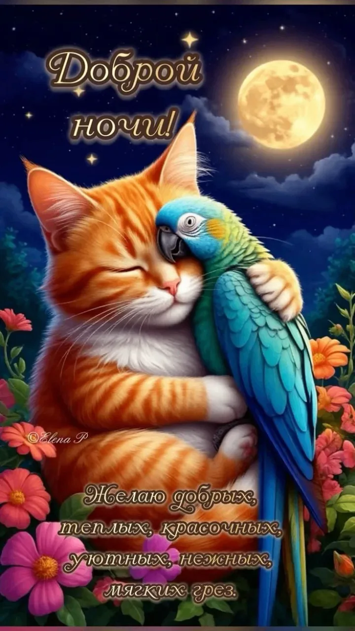 🥰 Ставьте реакции и делитесь открыткой с близкими ❤️

💌 Лучшие Открытки в MAX! 👉 Подписаться