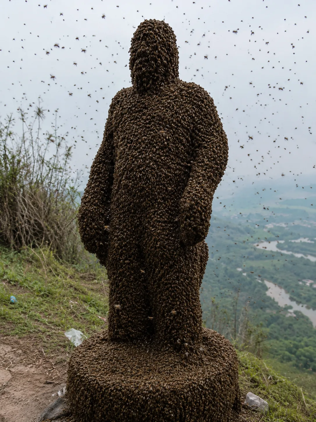 Рекорд с пчелами🐝🐝