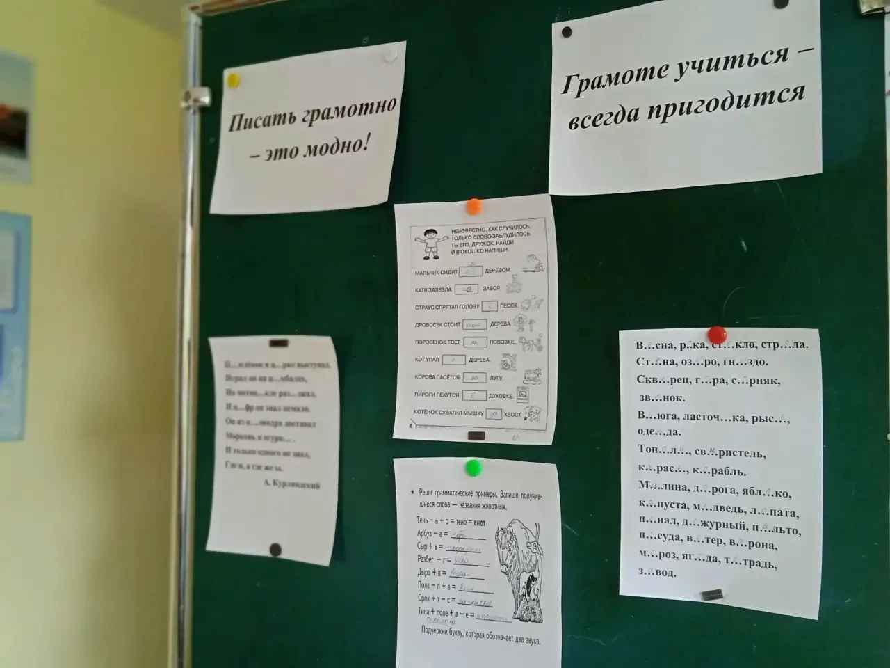 Международный день распространения грамотности📝