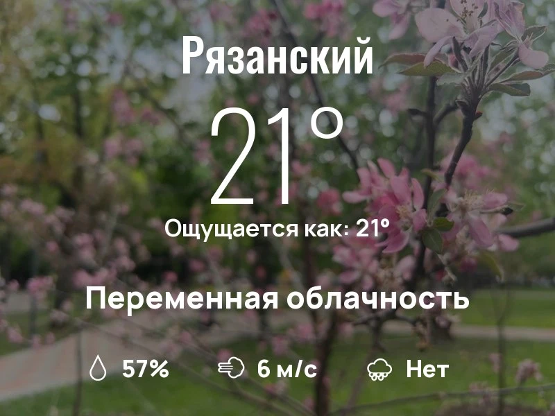 Что с погодой в Рязанском?