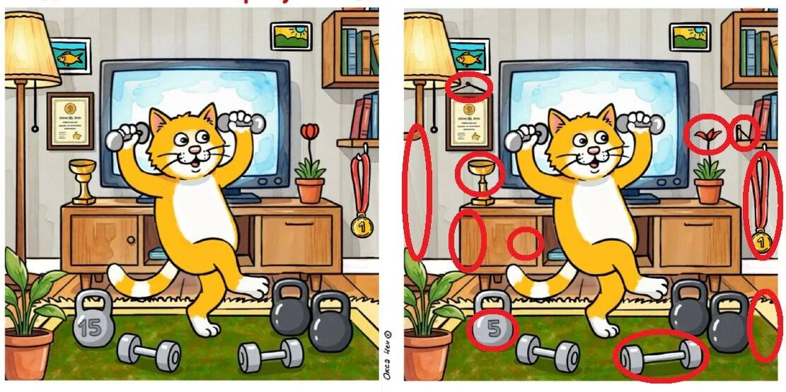 Некоторые споткнулись на 10-11 отличии. Смотрите ответ.