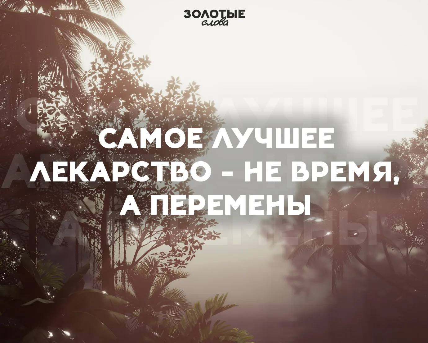 Золотые слова 📜