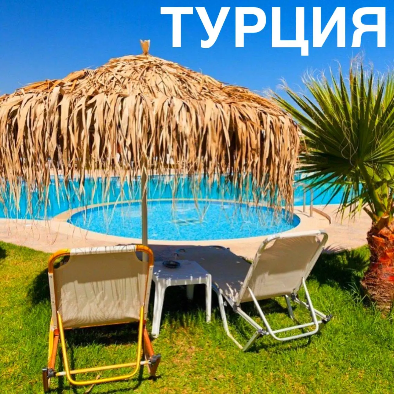 Долгожданный отдых в Турции можно совместить с выступлениями любимых артистов🌟
