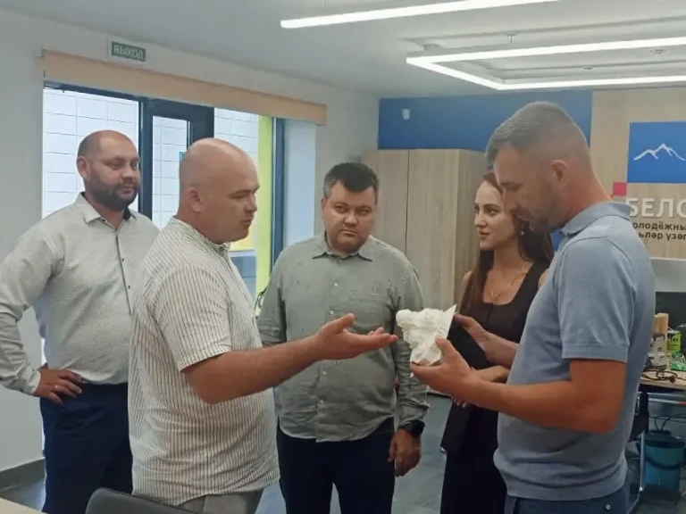 Сегодня Лаишевский район с рабочим визитом посетил заместитель министра по делам молодё...