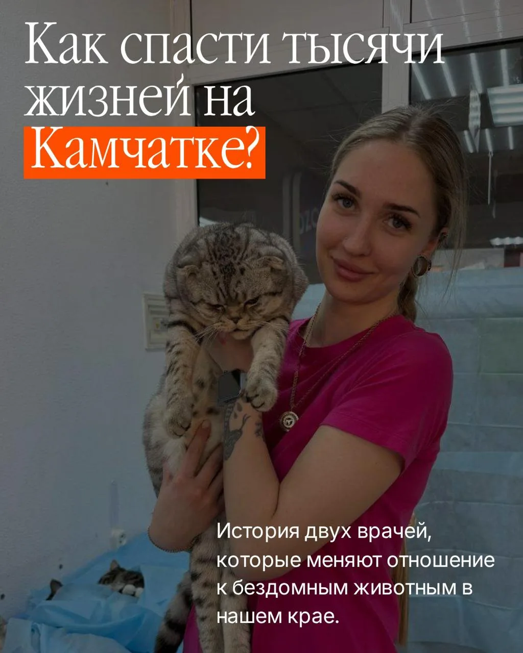 КРОО «Общество помощи животным Доброе сердце» объявляет