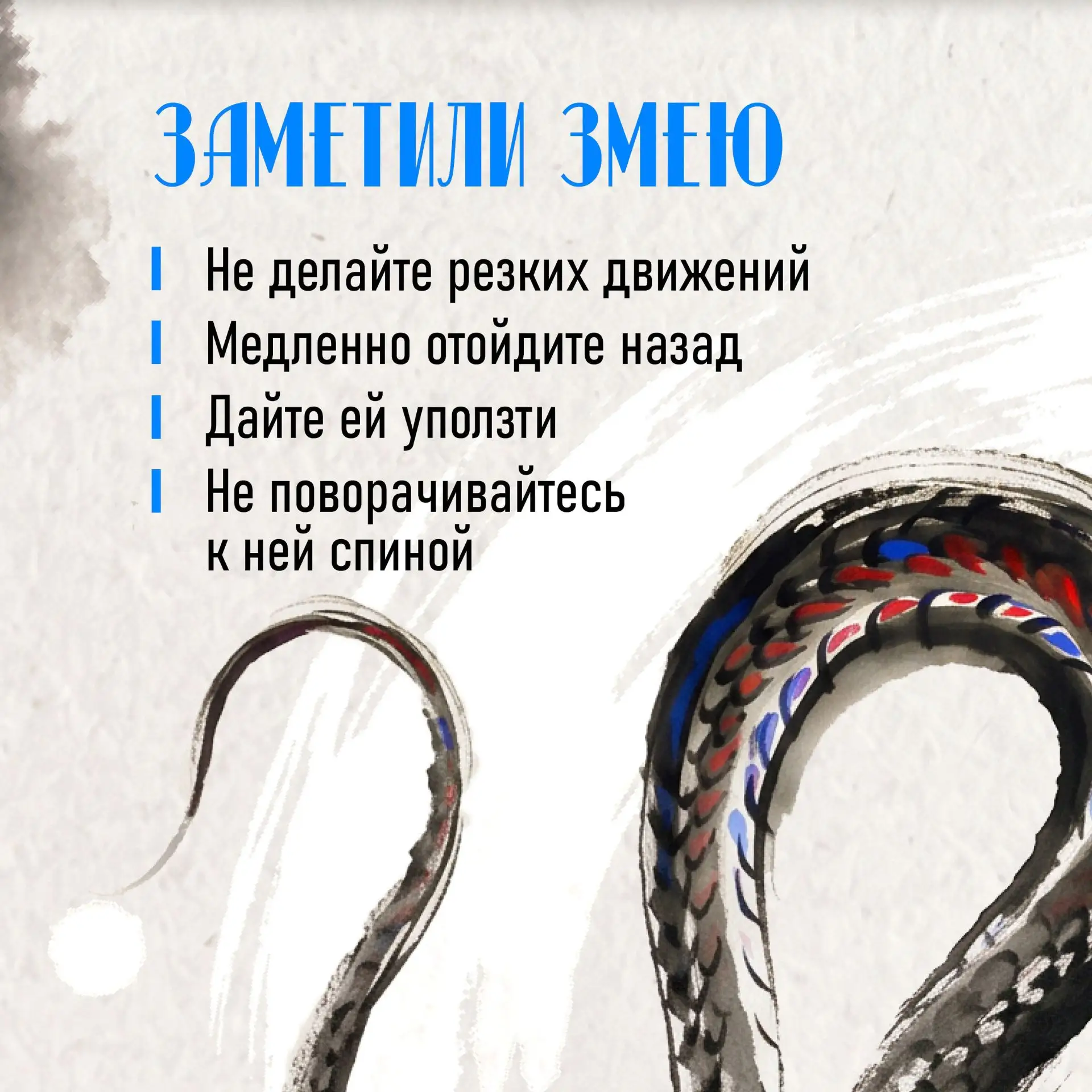 Как вести себя при встрече со змеёй