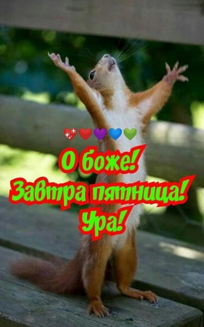 💌 Лучшие Открытки в MAX! 👉 Подписаться