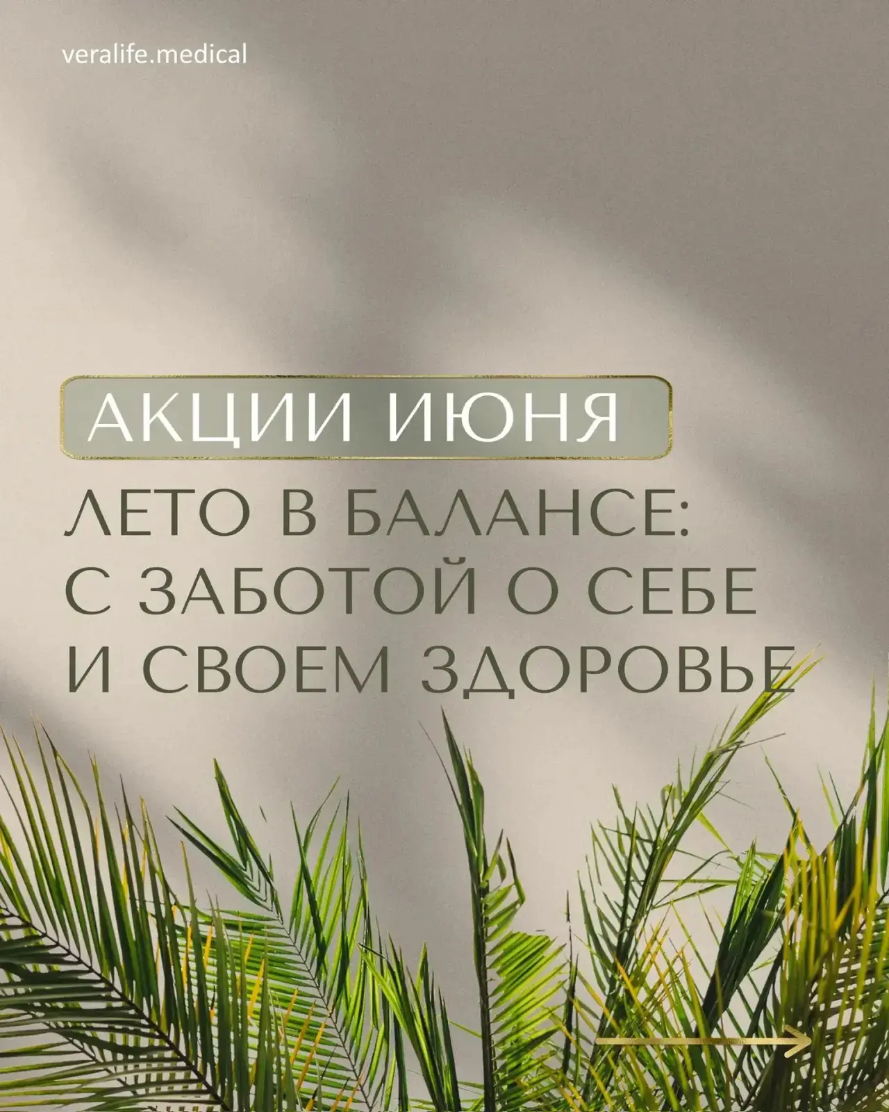 Подготовили для вас карусель акций и мероприятий на весь ИЮНЬ🌸
