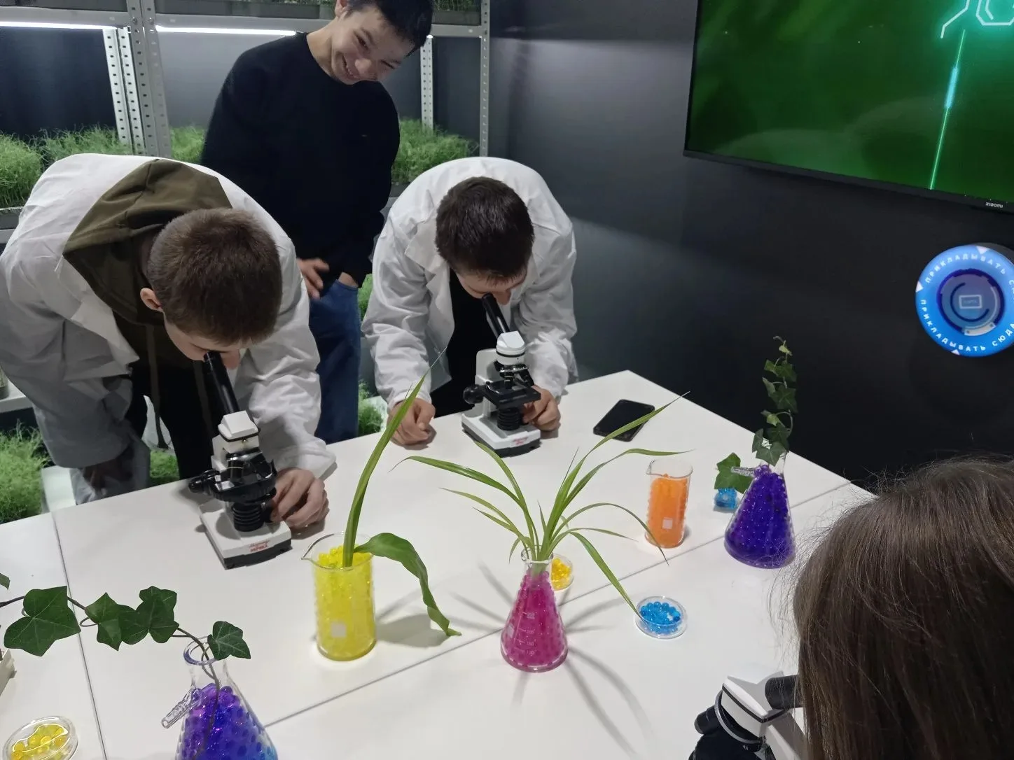 🌾 «Город профессий в АПК» в Омском государственном аграрном университете!