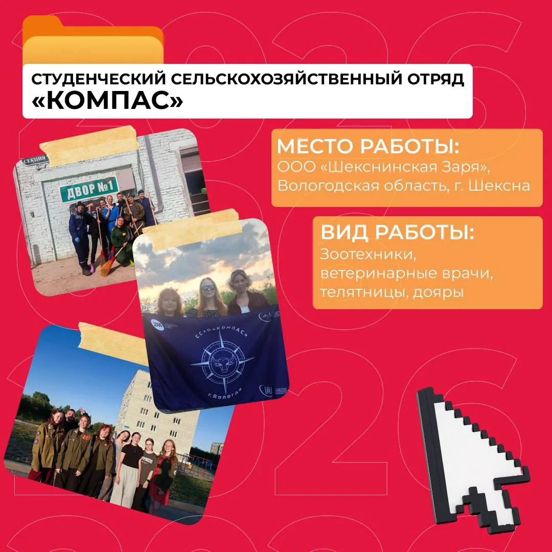 А какое оно, трудовое лето? ☀