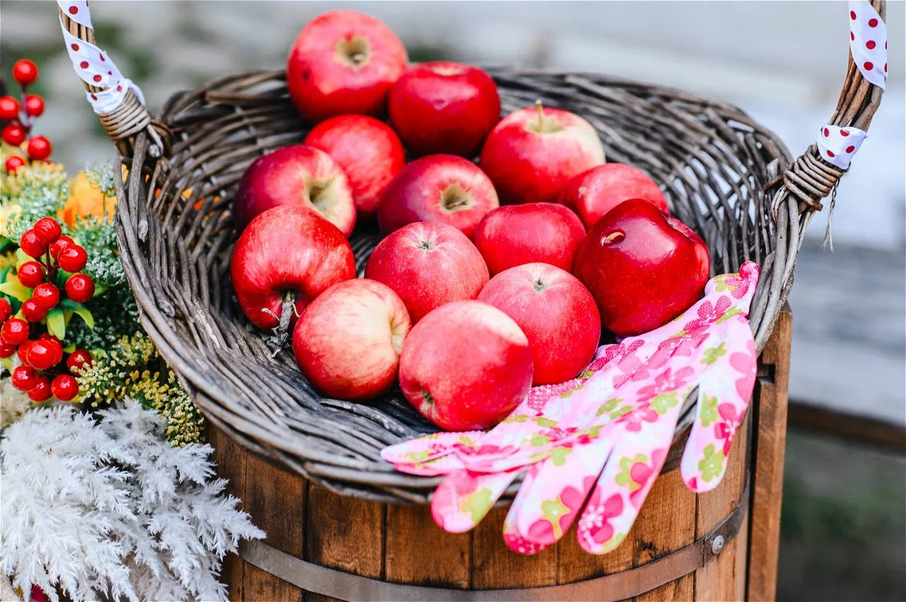 🍎 Фестиваль «Урожай»