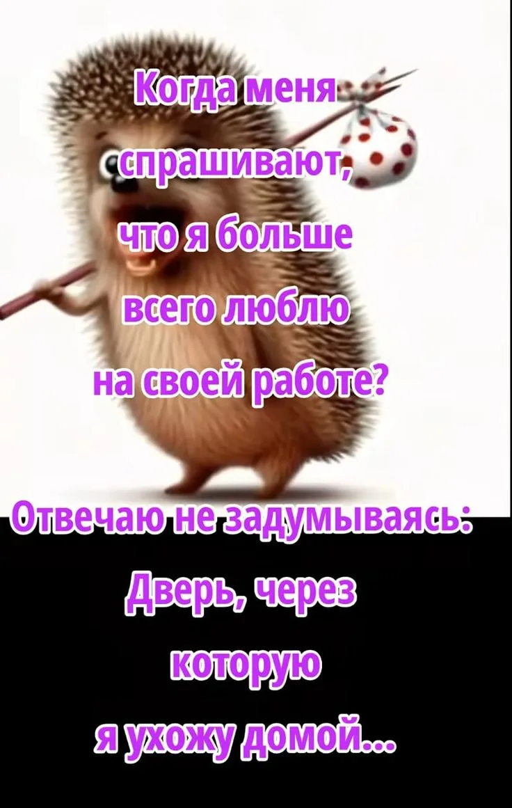 Доброе утро😁