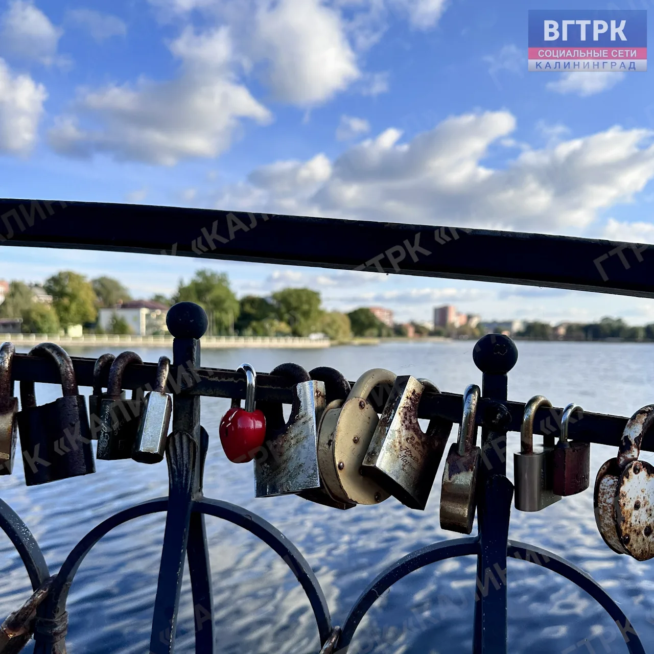 Изображение 6 к публикации «Вести - Калининград»