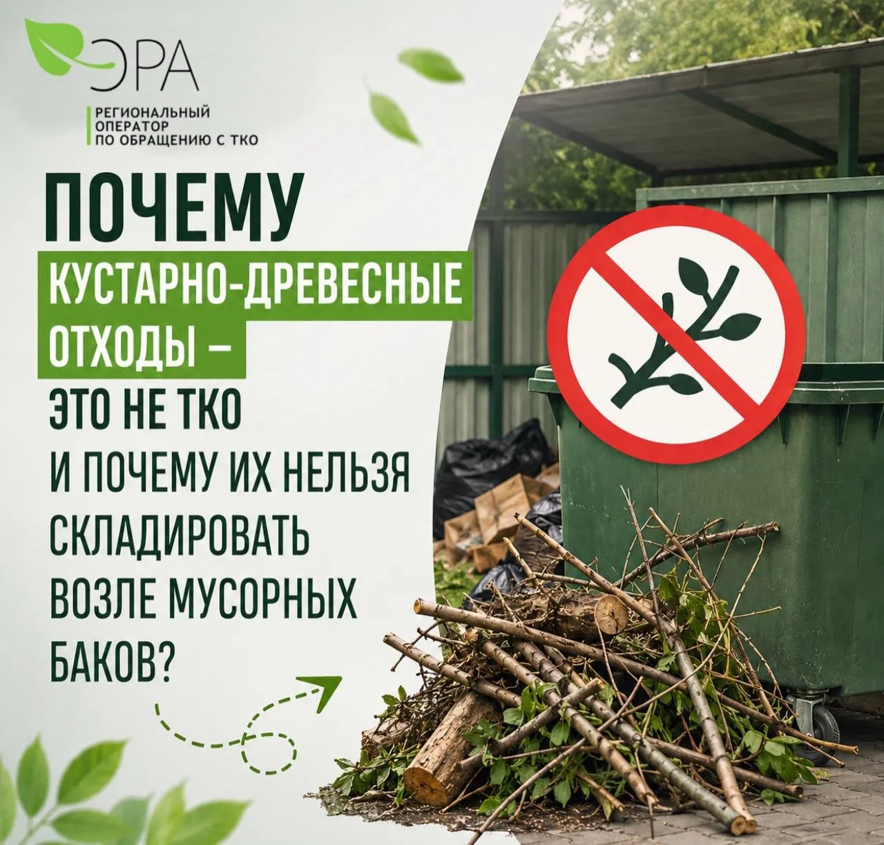 Почему ветки и спиленные деревья нельзя оставлять на контейнерных площадках?