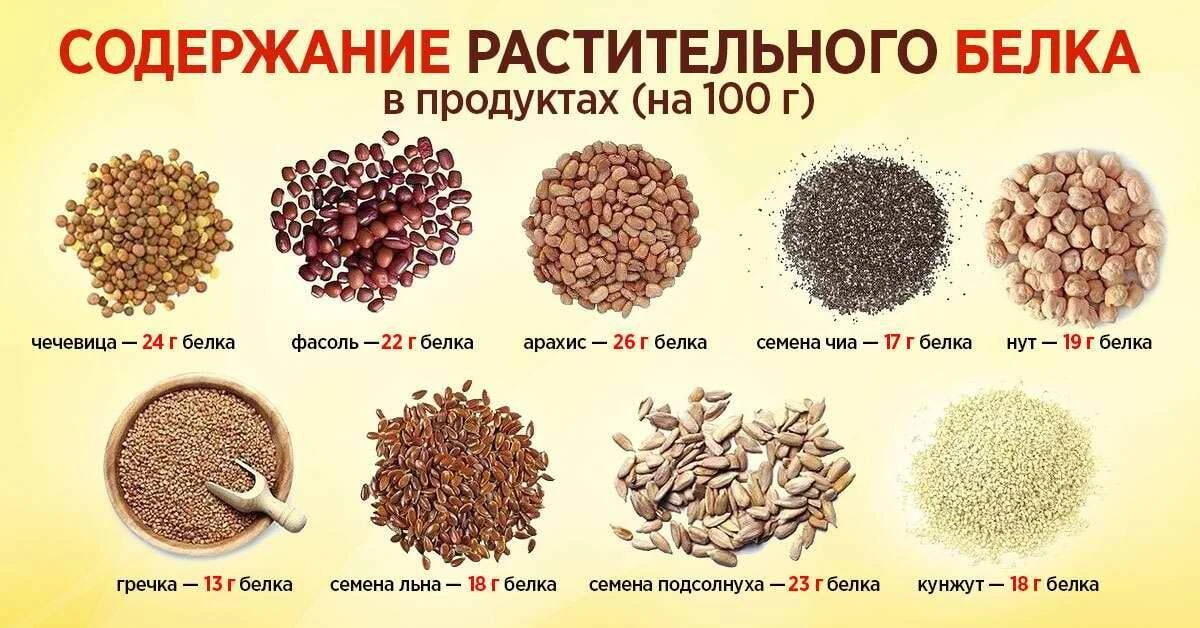 В чем польза растительного белка?