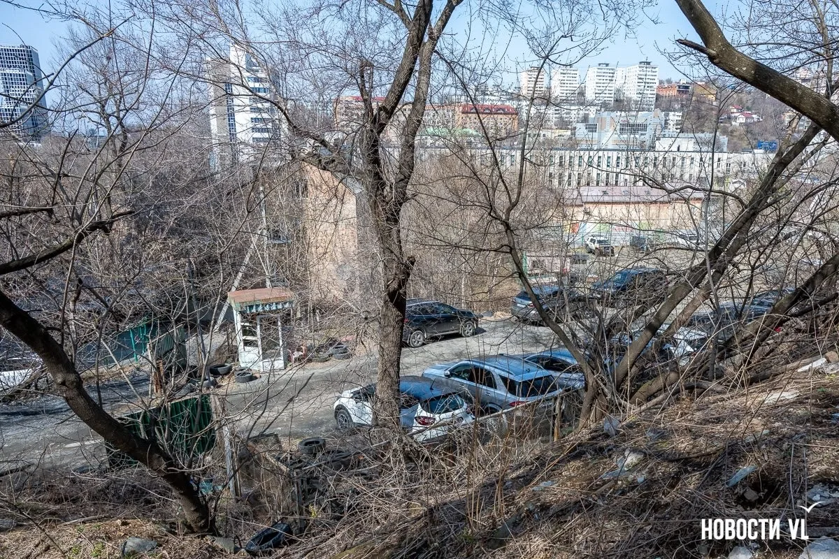 Создатели лучших парков Владивостока судятся с мэрией, чтобы построить многоэтажку возле Центра детс
