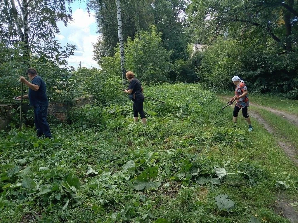 Важным мероприятием в плане благоустройства территории является своевременный и регуляр...