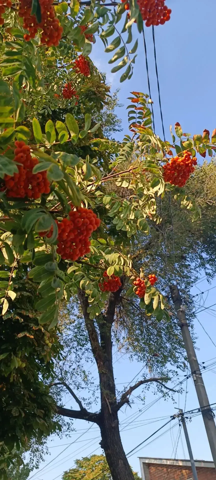 🍂Осень в Ростов подкрадывается незаметно