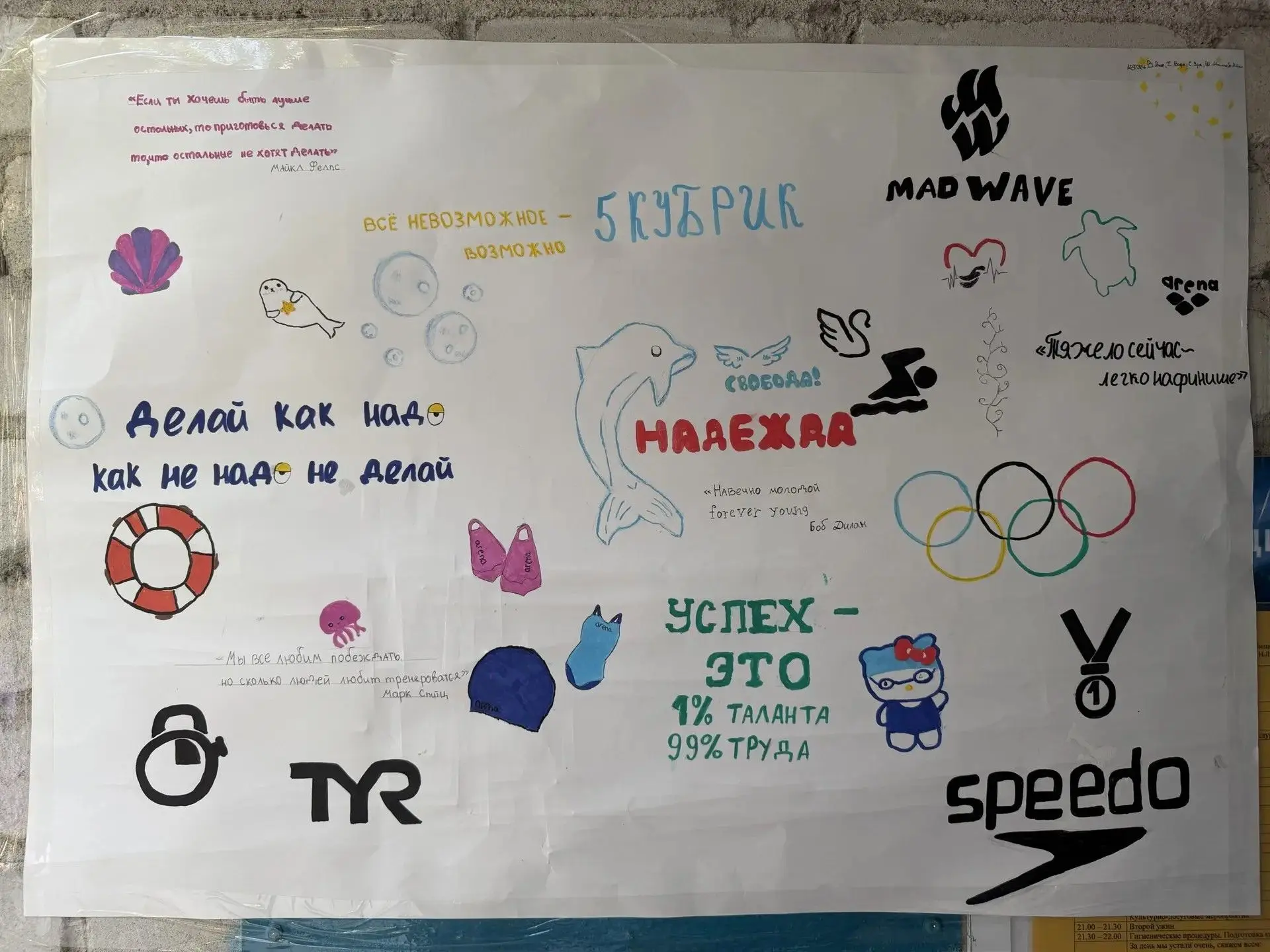Медиа публикации