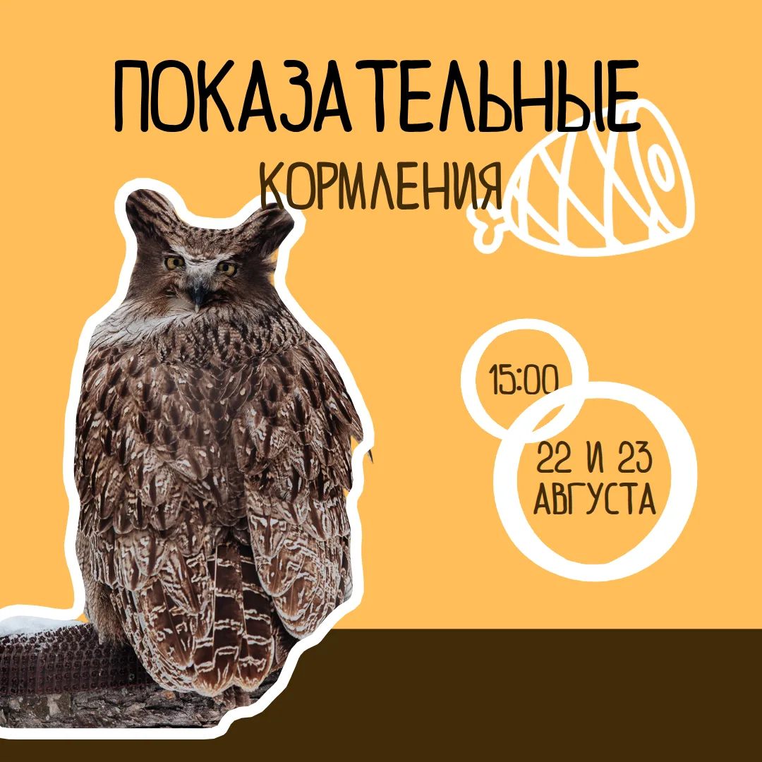 🍴 Разнообразный рацион — для наших подопечных, а разнообразные мероприятия — для вас. ...