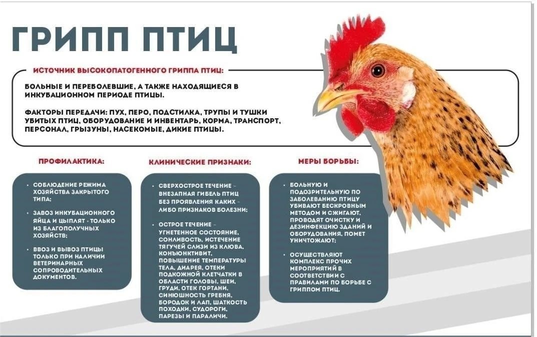 ❗️Управление Россельхознадзора по Кировской области, Удмуртской Республике и Пермскому ...