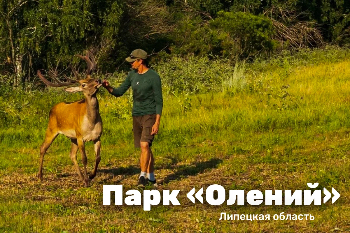 Место, где чувствуешь любовь
Парк «Олений», Липецкая область

Есть места, куда приезжаешь один раз —