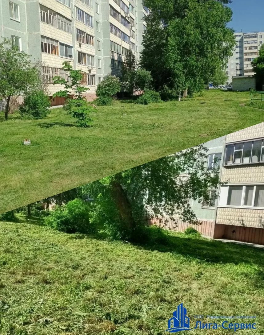 Субботний спецвыпуск🌿