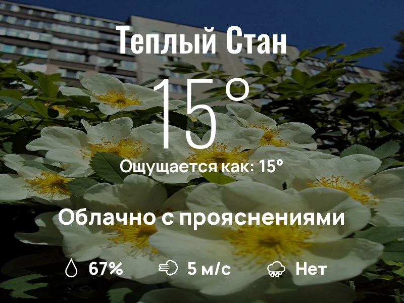 Что с погодой в Теплом Стане?