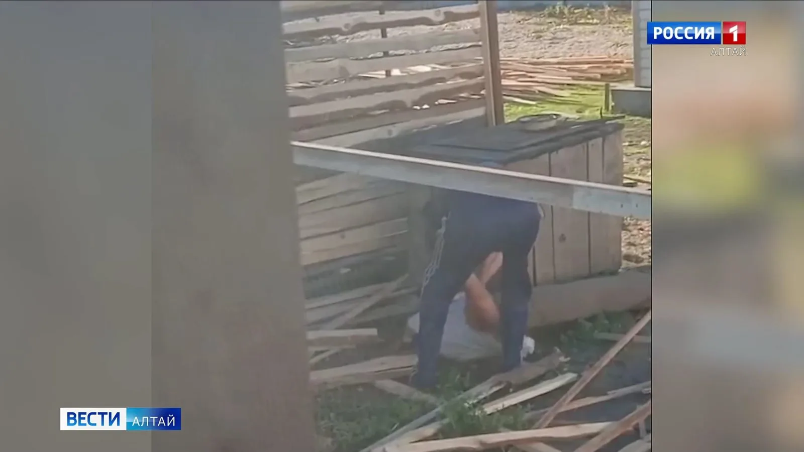 В СНТ «Берёзовая роща» собаку три дня избивали в наказание за украденную курицу