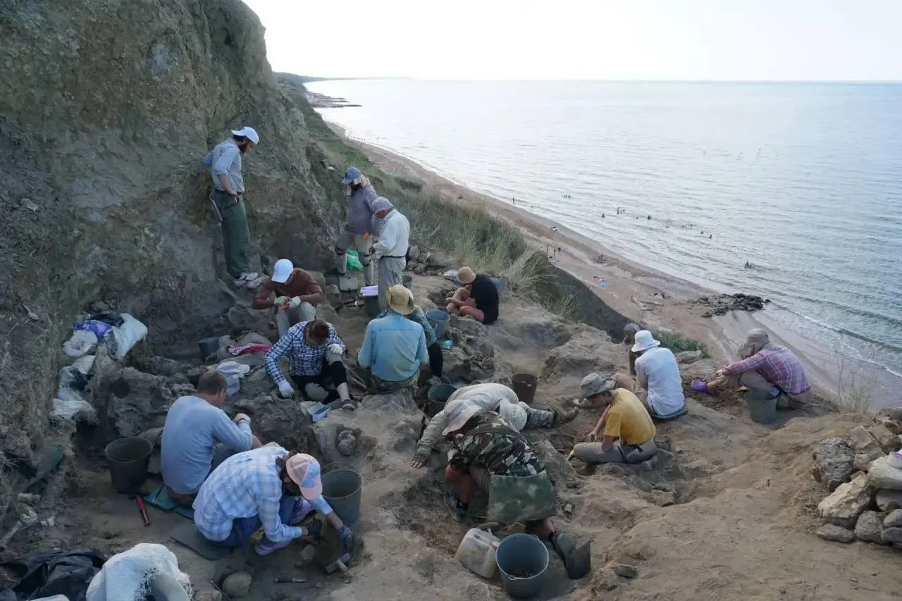 🦣Останки около 100 таманских слонов и 40 носорогов-эласмотериев раскопали на Таманском полуострове.