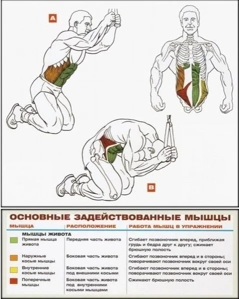 Со спортом по жизни